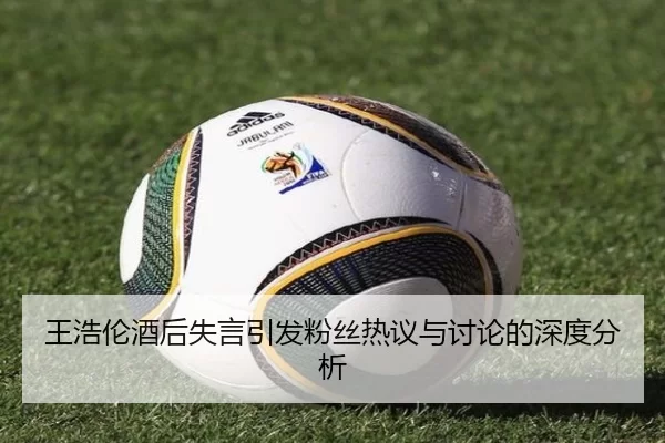 王浩伦酒后失言引发粉丝热议与讨论的深度分析