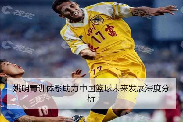 姚明青训体系助力中国篮球未来发展深度分析