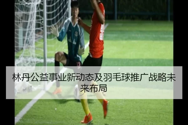 林丹公益事业新动态及羽毛球推广战略未来布局